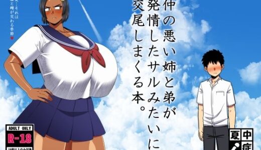 仲の悪い姉と弟が発情したサルみたいに交尾しまくる本。 無料エロ漫画 raw